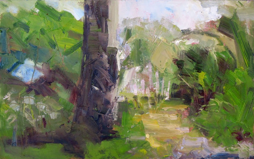Lush-garden-at-Trewidden